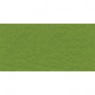 Bazzill Prismatic Intense Kiwi