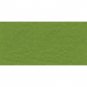 Bazzill Prismatic Intense Kiwi