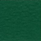Bazzill Prismatic Classic green