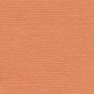bazzill Monochromatic Apricot