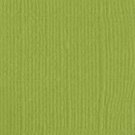 bazzill Monochromatic Parakeet
