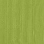 bazzill Monochromatic Parakeet