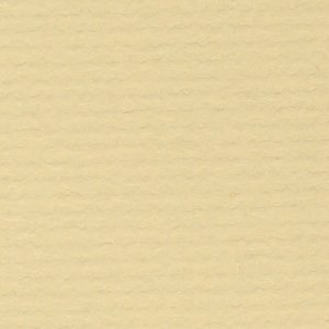 Bazzill Basics Retired Applesauce T4-405