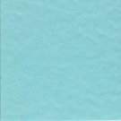 Bazzill Prismatic Frosted Teal T19.7558