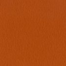 Bazzill Prismatic Papaya Puree Dark T19.3141