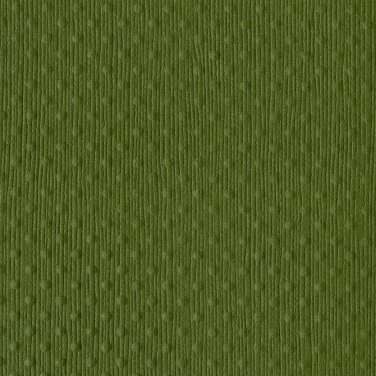 Bazzill Basics - Two Scoops 12x12 Luscious Lime