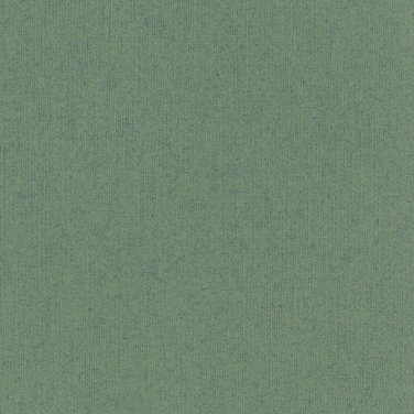 Bazzill Basics Grasscloth Sage T15.580