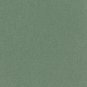 Bazzill Basics Grasscloth Sage T15.580