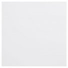 Bazzill 12x12 Plastic Embossing Paper - Snowball