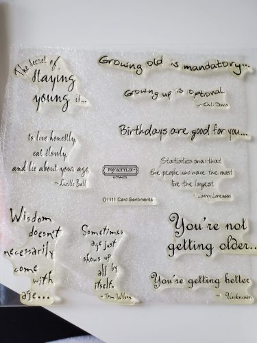 Close to My Heart (CTMH) D1111 Card Sentiments