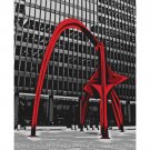 11"x14" - Flamingo in Chicago
