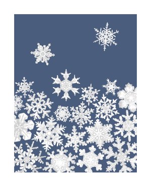 Snowyflakes