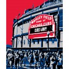16"x20" - Wrigley Field in Chicago