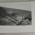 Photo Sand Dune Northwest USA Coast? B&W VINTAGE Print
