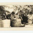 2 Photos--Dinner on the Grounds 1930s or 1940s