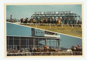 Blue Ribbon Downs Sallisaw Oklahoma Postcard