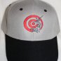 Embroidered Baseball Hat- Hunter