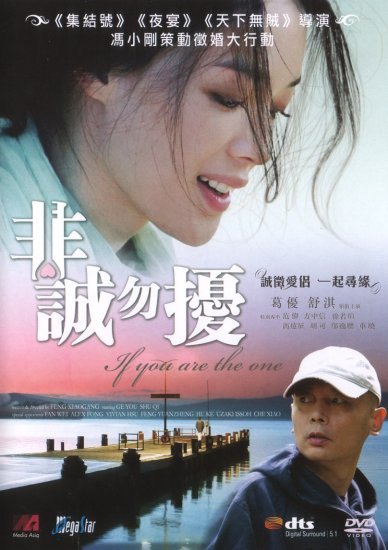 2009 NEW IF YOU ARE THE ONE DVD HK MOVIE ENG SUB