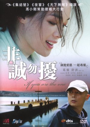 2009 NEW IF YOU ARE THE ONE DVD HK MOVIE ENG SUB