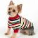 Pet Apparel
