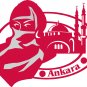 Ankara Passport Style Wall Graphic