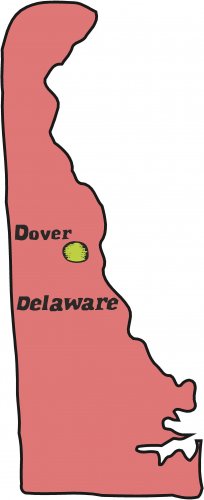 Delaware State Map Wall Decal