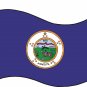Minnesota State Flag Wall Decal