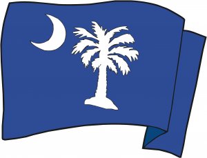 South Carolina State Flag Wall Decal