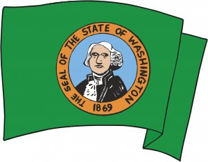 Washington State Flag Wall Decal