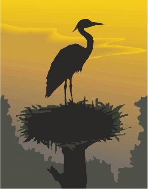 Heron Sunset Vector Art on Canvas