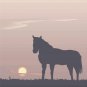 Horse Sunset Vector Art on Canvas