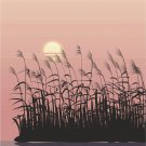 Lake Reeds Sunset Vector Art on Canvas