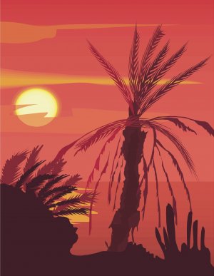 South Pacific Sunset Vector Art on Canvas