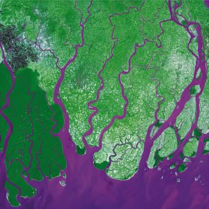 Ganges River Delta As Art on Canvas