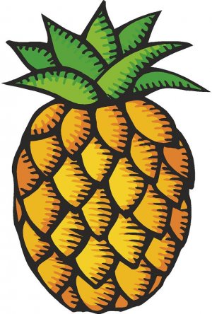 Pineapple Fruit Pattern Wall Decal