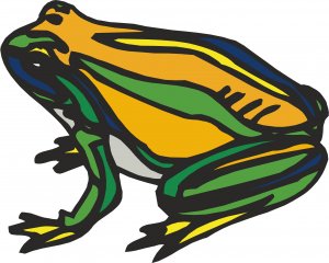Frog Wall Decal