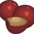 Fruit Cherries Wall Decal