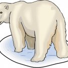 Polar Bear Realistic Wall Decal