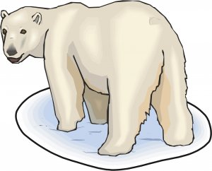 Polar Bear Realistic Wall Decal