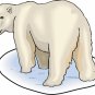 Polar Bear Realistic Wall Decal