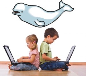 Beluga Whale Wall Decal