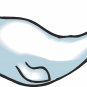 Beluga Whale Wall Decal