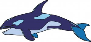 Orca Whale Wall Decal
