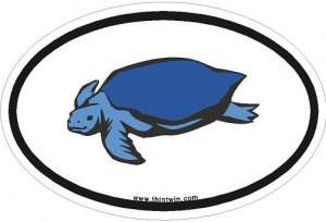 Turtle Oval Car Sticker