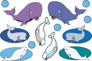 Whales Cartoon Wall Decal Assortment Packs