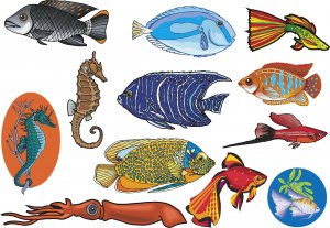 Fish Wall Decal Assortment Packs