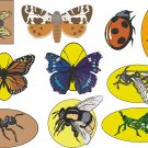 Insects Wall Decal Assortment Packs