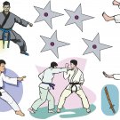 Karate Wall Decal Assortment Packs