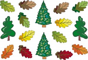 Leaves Wall Decal Assortment Packs