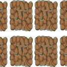 Nuts Wall Decal Pattern Assortment Packs